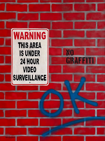 24 Hour Surveillance