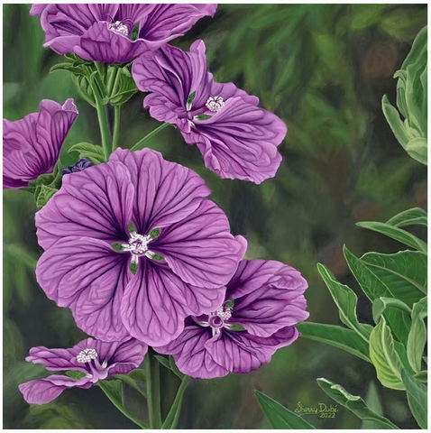 SHERRY DUBÉ "Purple Passion"