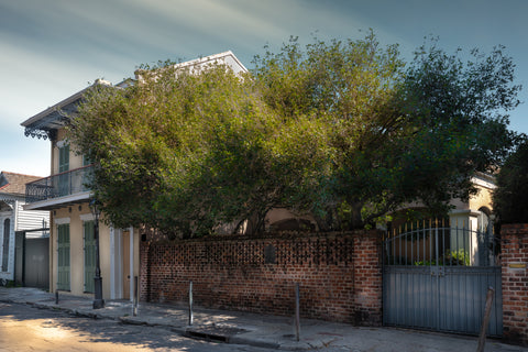 721 Governor Nicholls Street