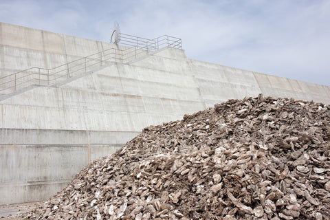 Oyster Shells, Rikuzentakata