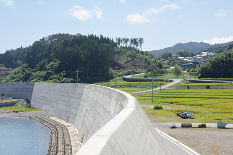 Rice Field, Rikuzentakata