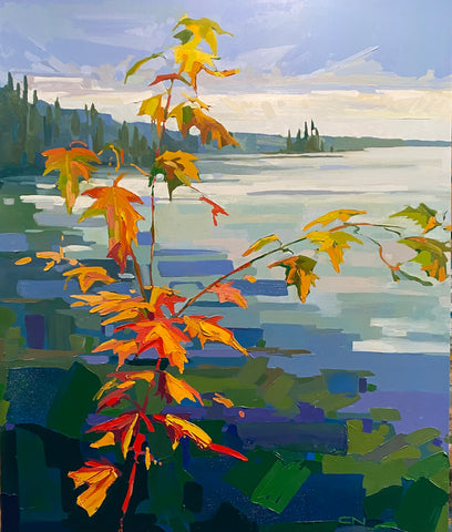 Fairy Lake, Beausoliel Island