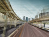 Interconnected III (Miami) - edition 2/6